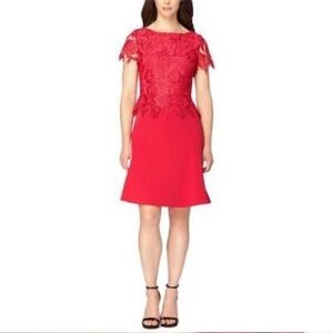 TAHARI by Asl Lace Peplum A line Dress